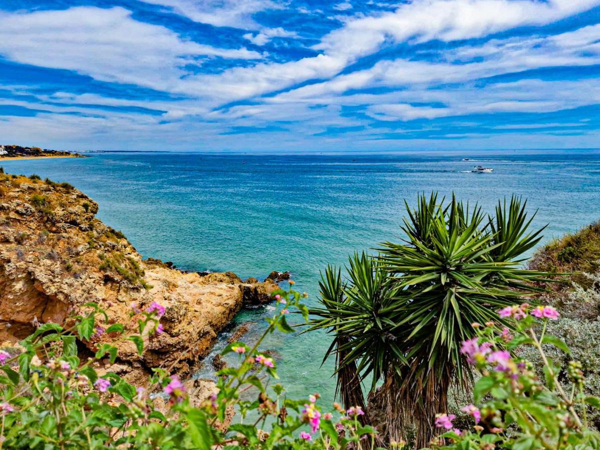 Jardins Do Mar - By Bedzy Lägenhet Albufeira Exteriör bild